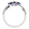 Picture of RING